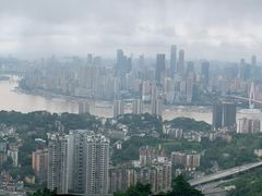 -南山植物园