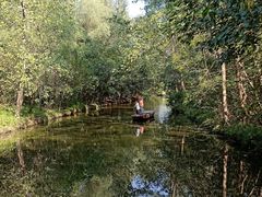 -溱湖国家湿地公园