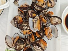 毛蛤-宾朋海鲜饭庄(兴海路店)