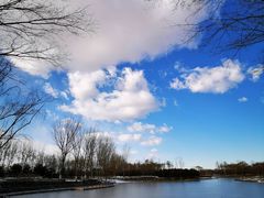 -大兴滨河森林公园