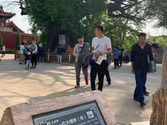 -大槐树寻根祭祖园