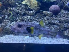 -常州海昌海洋探索馆