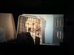 -华夏优加影城(长和国际店)