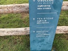 -雪绿茶博物馆