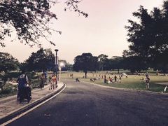 -东莞植物园