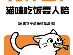 -睿金宠物医院·CT·肿瘤·骨外科