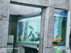 -又见炊烟私房菜(敬亭路店)