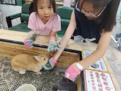 -神奇动物撸宠馆·羊驼·小浣熊·异宠(豫园店)