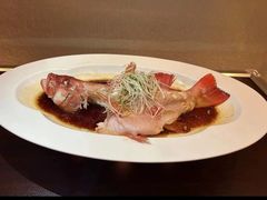 -长春市茶啊衝饭店(南湖公园店)