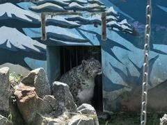 -青藏高原野生动物园