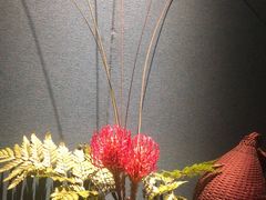 -觀芷隐轩