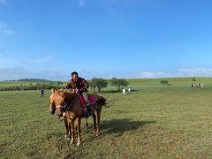 -塞罕坝国家级自然保护区