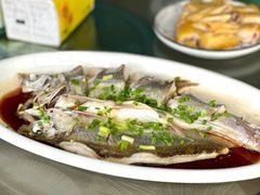 清蒸朋鱼-晓琦农家菜馆·地道农家菜