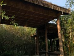 -苏州上方山国家森林公园
