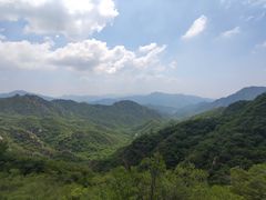 -大岭沟猕猴桃谷风景区