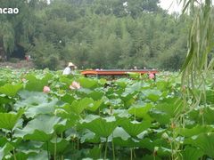 -紫竹院公园冰场