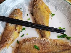 -小河无名面馆