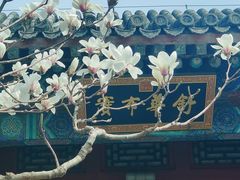 -颐和园