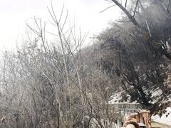 -少华山国家森林公园