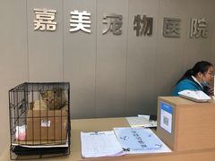 -嘉美宠物医院