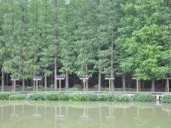 -青山湖景区