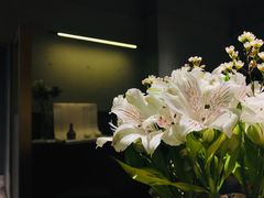 -物质生活书·酒吧