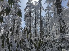 -瓦屋山景区