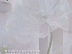 -龙湖西安曲江天街