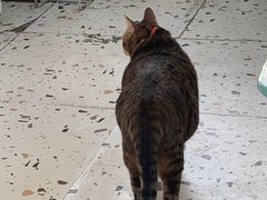 -小时光咖啡馆(北锣鼓巷店)
