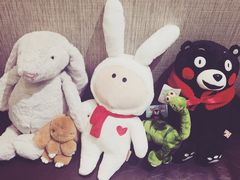 -PAWTOY爪e玩偶店(天兴罗斯福店)