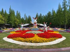 -东平国家森林公园