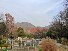 -杭州少年儿童公园