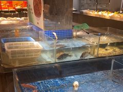 -绿杨春·淮扬宴(庐山路店)
