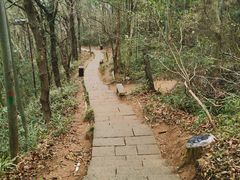 -九曜山