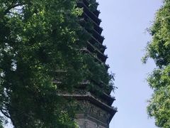 -玲珑塔公园