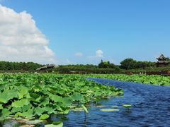 -上海海湾国家森林公园