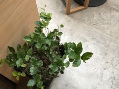 -VOYAGE COFFEE(北锣鼓巷店)