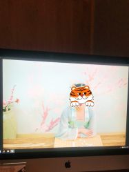 -尤尼可国际影像(万源分店)