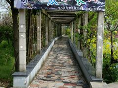 -南汇桃花村