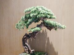 -福厨餐厅(水悦城店)