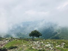 -北京灵山风景区