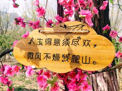 -北京凤凰岭