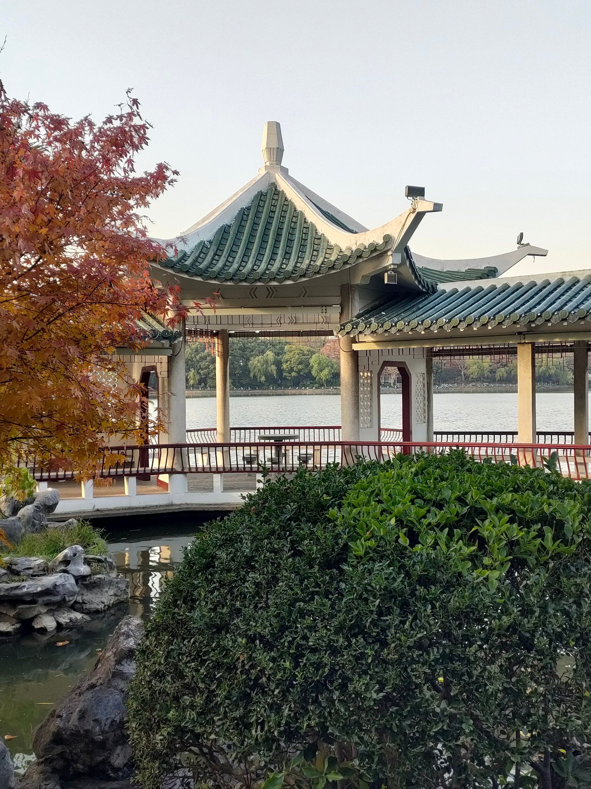 冬日秋景,长风公园美的如一幅油画!
