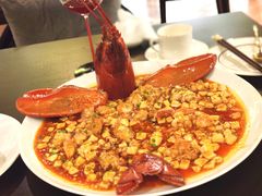 麻婆豆腐烧波士顿-甄御•海鲜新青岛菜(麦岛店)