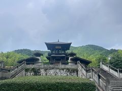 -大唐贡茶院