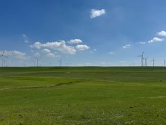 -苏木山森林公园