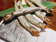 -石葵(锦业时代店)