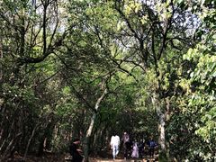 -西湖风景区十里琅珰-五云山