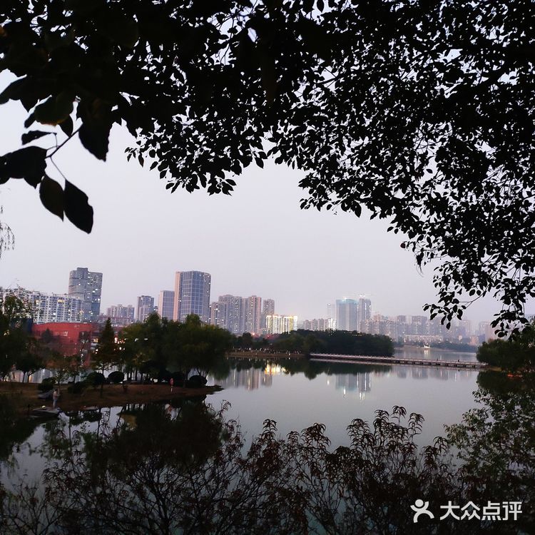前一秒还在散步消食😓后一秒炫上了真牛排