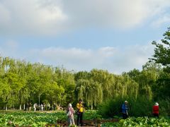 -南翠屏公园